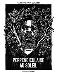 « Perpendiculaire au soleil  » de Valentine Cuny-Le Callet